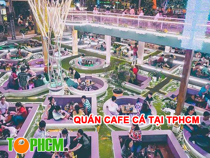 Quán Cafe Cá TPHCM