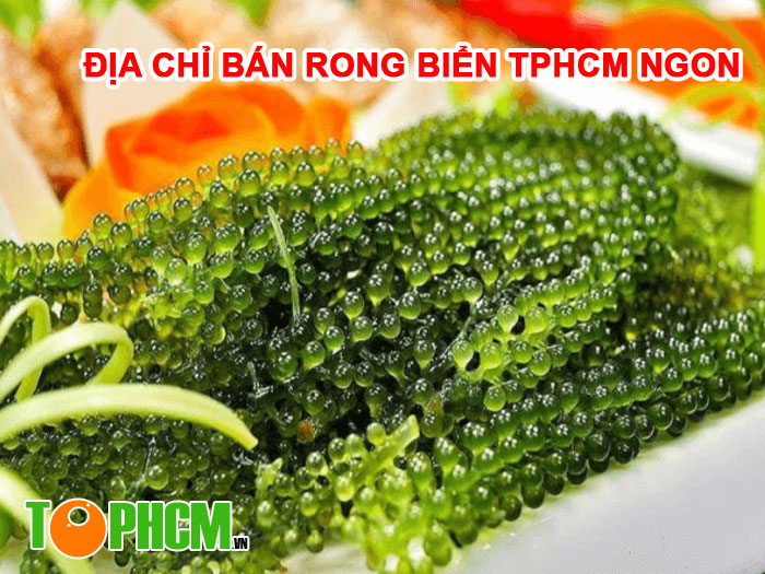 Danh sách Top 10+ Địa Chỉ Bán Rong Biển TPHCM Ngon Đáng Tin Cậy 6 Địa Chỉ Bán Rong Biển TPHCM Ngon và Uy tín